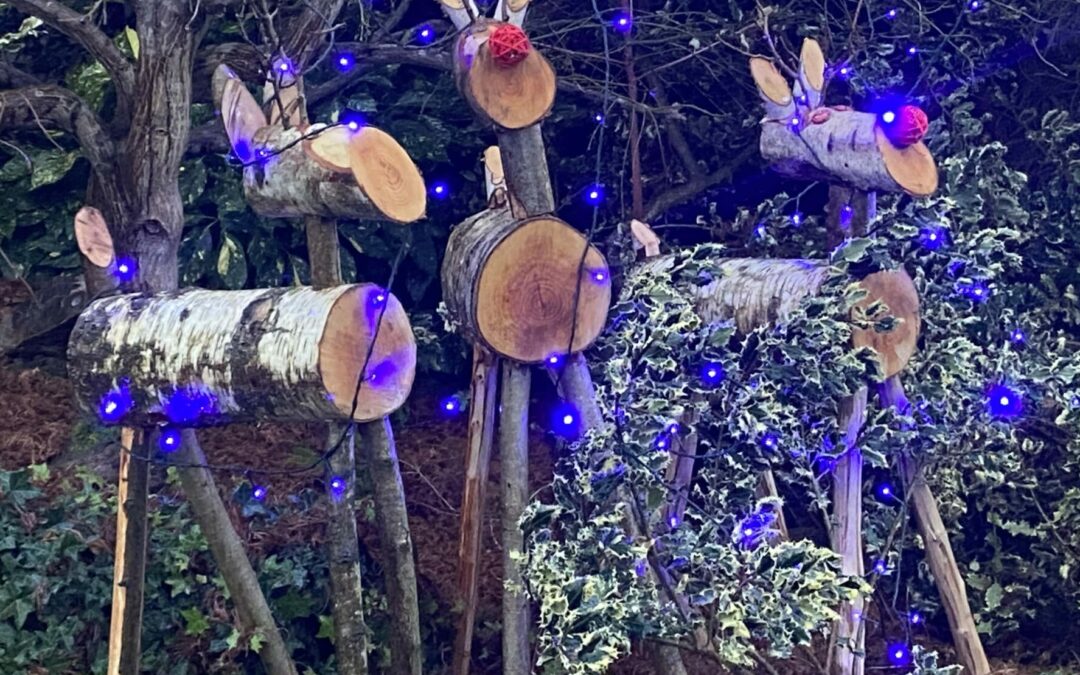 Des rennes en terrasse pour NOEL